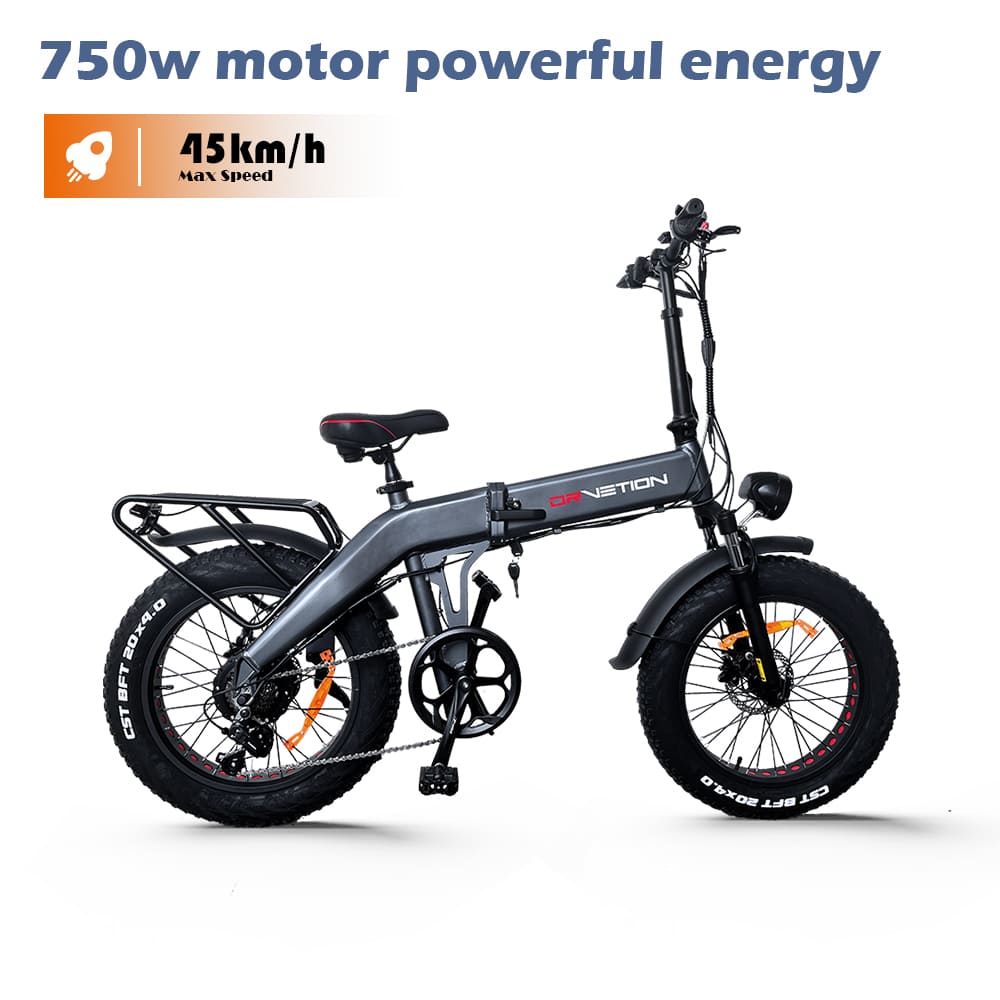 DrveTion BT20 Bicicletta Elettrica Fuoristrada 750W 45km/h