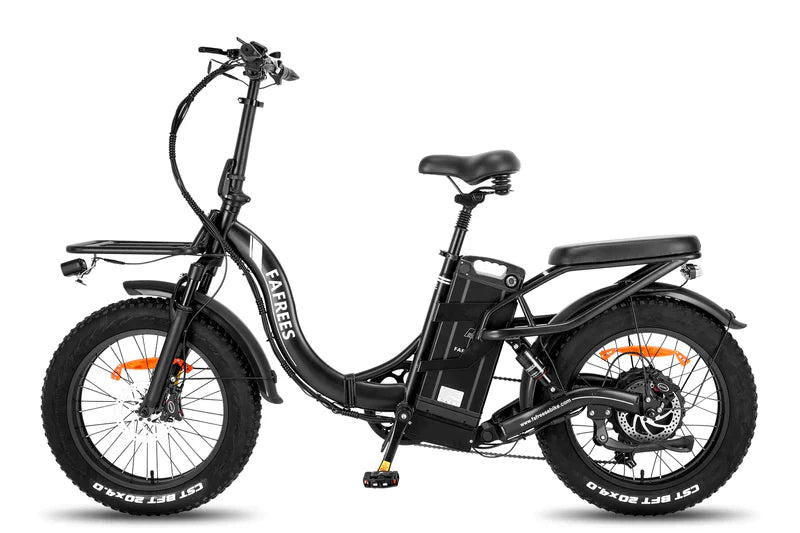 FAFREES F20 X Max Bicicletta Elettrica 750W