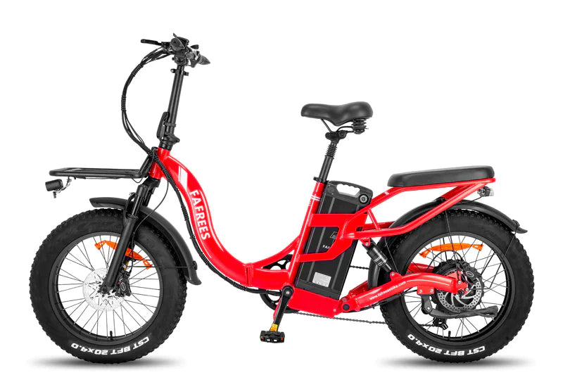 FAFREES F20 X Max Bicicletta Elettrica 750W