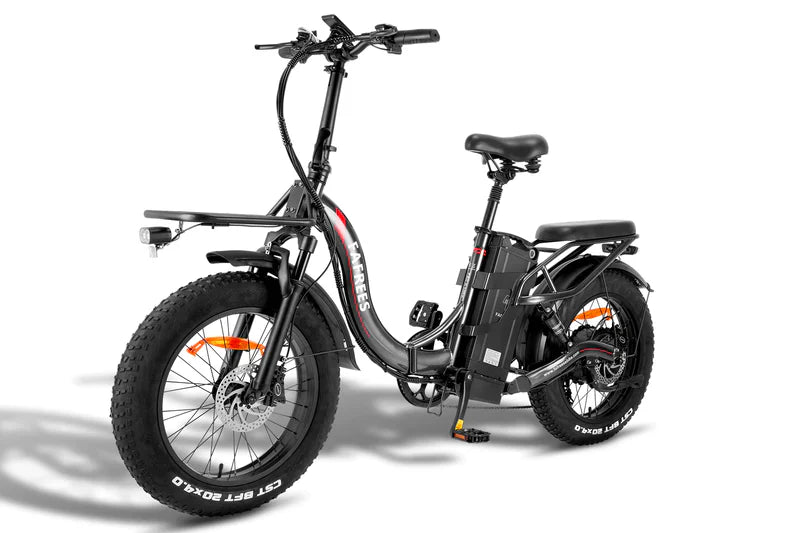 FAFREES F20 X Max Bicicletta Elettrica 750W