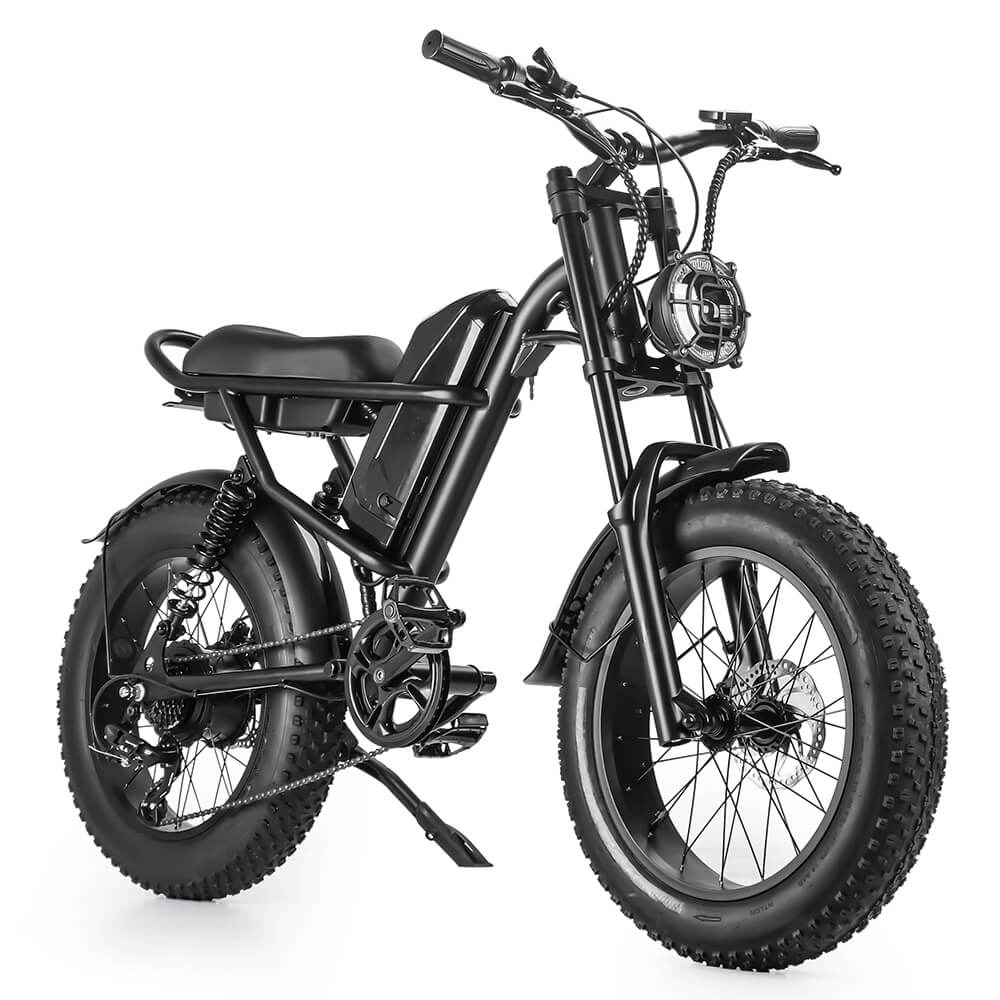 IPDOO Riding' Times Z8 Bicicletta Elettrica 500W Fat Tire Bicicletta Elettrica 25km/h-45km/h Batteria da 15.6Ah