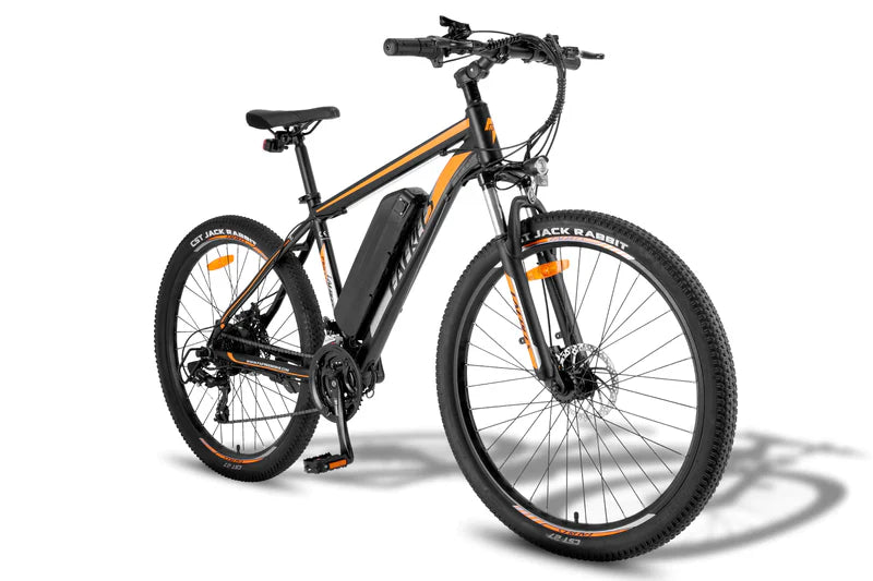 FAFREES F28 MT 250W Bicicletta Elettrica da Montagna