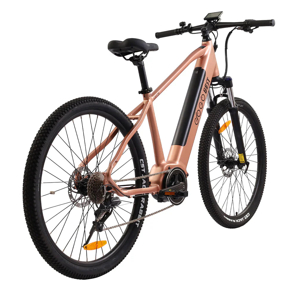 GOGOBEST GM26 250W Bicicletta Elettrica da Città