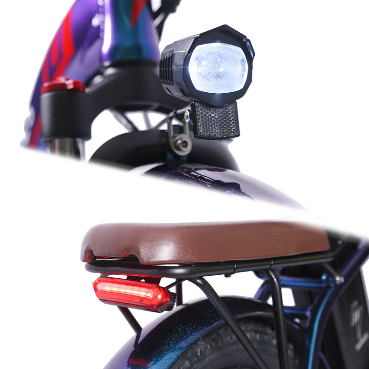 FAFREES F20 Pro Bicicletta Elettrica Pieghevole da Città 250W con Telaio Ribassato
