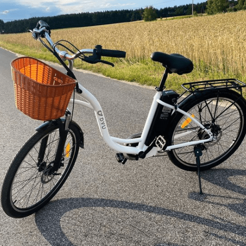 DYU C6 - Bicicletta Elettrica da Città, 26 pollici, 350W