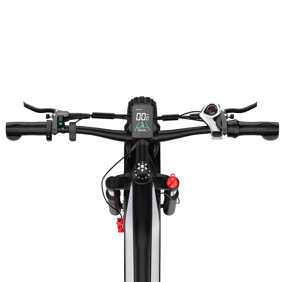 DUOTTS F26 Bicicletta Elettrica 750W*2