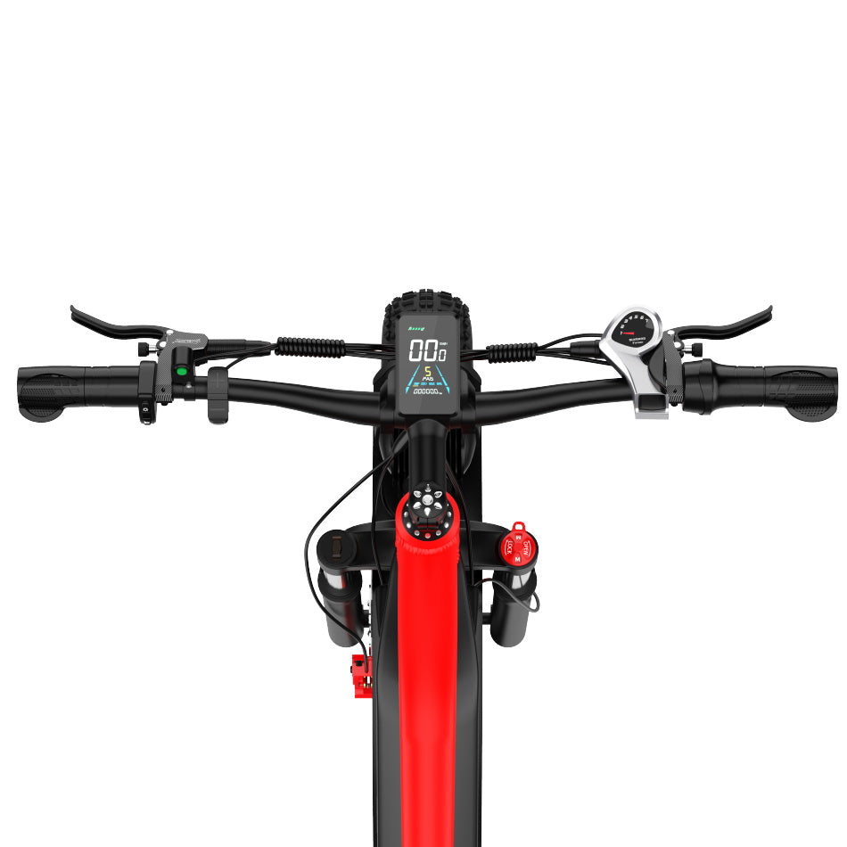 DUOTTS F26 Bicicletta Elettrica 750W*2