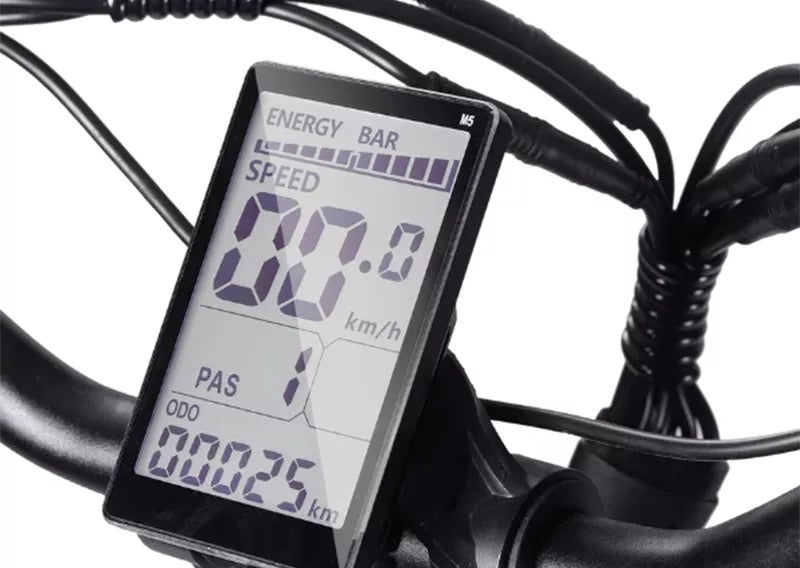 Bezior XF001 - Bicicletta Elettrica Retro 25km/h