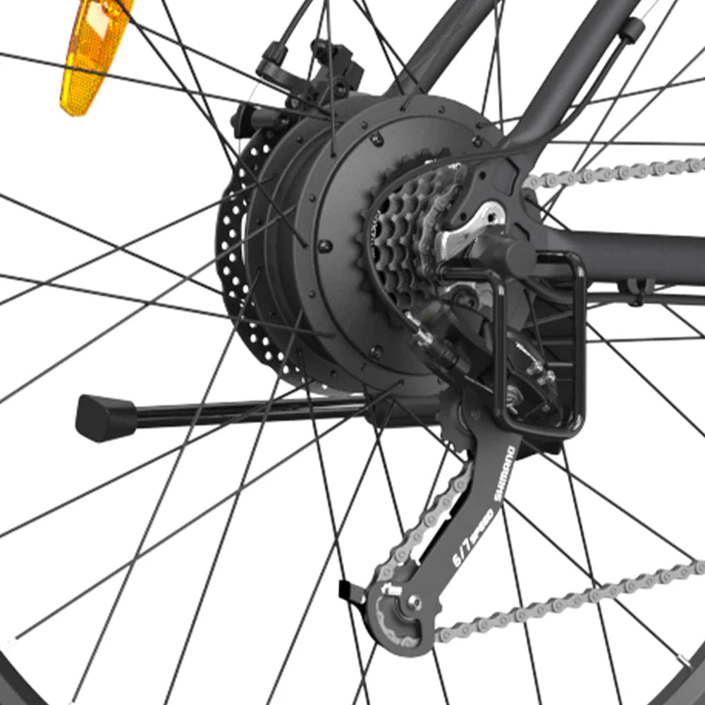 GOGOBEST GM30 750W Bicicletta elettrica