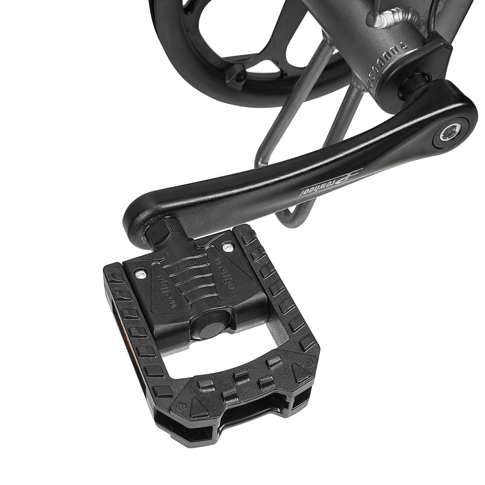 DrveTion BT20 Bicicletta Elettrica Fuoristrada 750W 45km/h