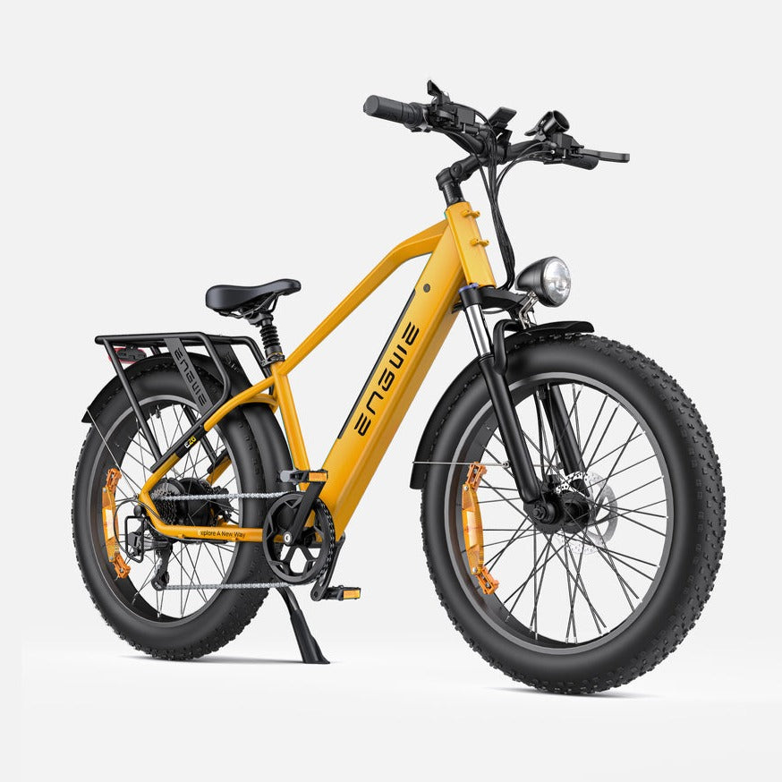 ENGWE E26 Bicicletta Elettrica