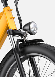 ENGWE E26 Bicicletta Elettrica