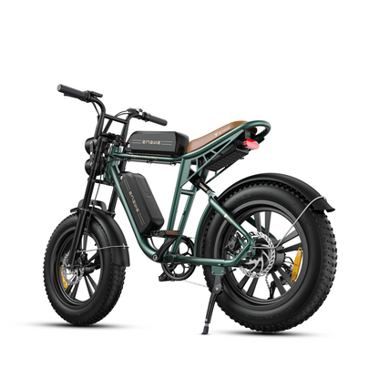 ENGWE M20 Bicicletta Elettrica Fat Bike 1000W