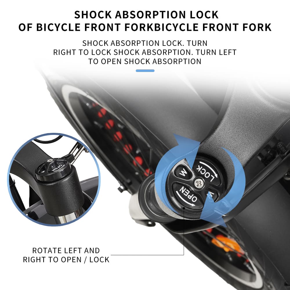 DrveTion BT20 Bicicletta Elettrica Fuoristrada 750W 45km/h