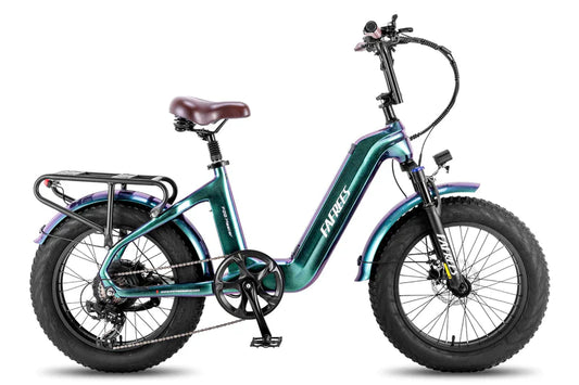 FAFREES F20 Master Bicicletta Elettrica 500W (continuo) 690W (di picco)