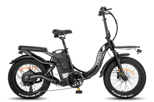 FAFREES F20 X Max Bicicletta Elettrica 750W