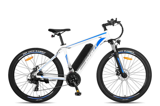 FAFREES F28 MT 250W Bicicletta Elettrica da Montagna