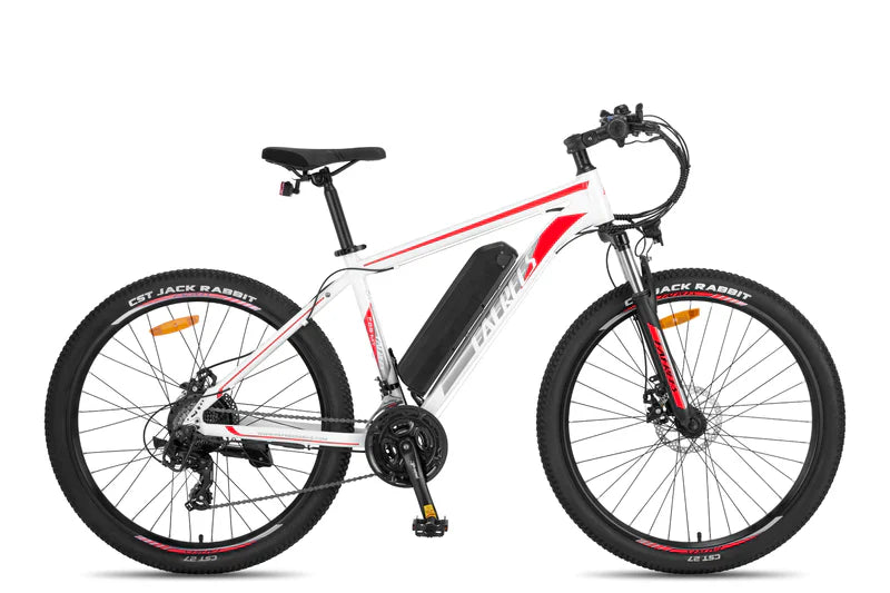 FAFREES F28 MT 250W Bicicletta Elettrica da Montagna