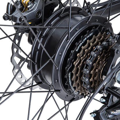 FAFREES 26 Hailong One 250W Bicicletta Elettrica da Montagna