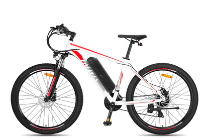 FAFREES F28 MT 250W Bicicletta Elettrica da Montagna