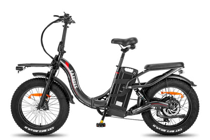 FAFREES F20 X Max Bicicletta Elettrica 750W