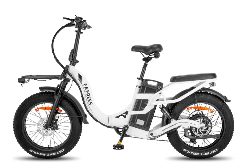 FAFREES F20 X Max Bicicletta Elettrica 750W