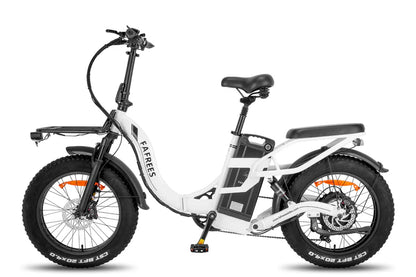 FAFREES F20 X Max Bicicletta Elettrica 750W