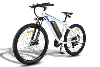 FAFREES F28 MT 250W Bicicletta Elettrica da Montagna