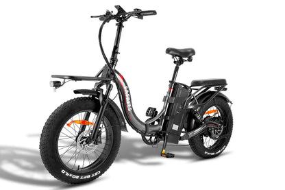 FAFREES F20 X Max Bicicletta Elettrica 750W