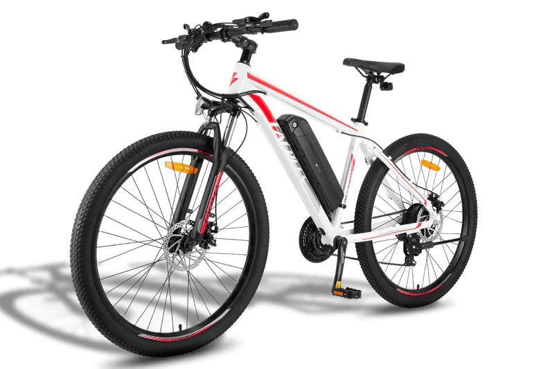 FAFREES F28 MT 250W Bicicletta Elettrica da Montagna