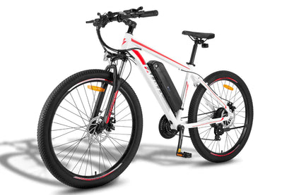 FAFREES F28 MT 250W Bicicletta Elettrica da Montagna
