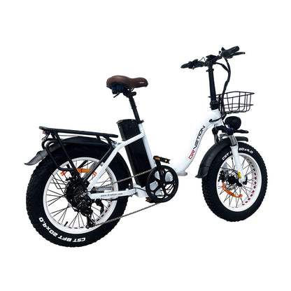 DrveTion CT20 750W Bicicletta Elettrica Fat Bike 45 km/h