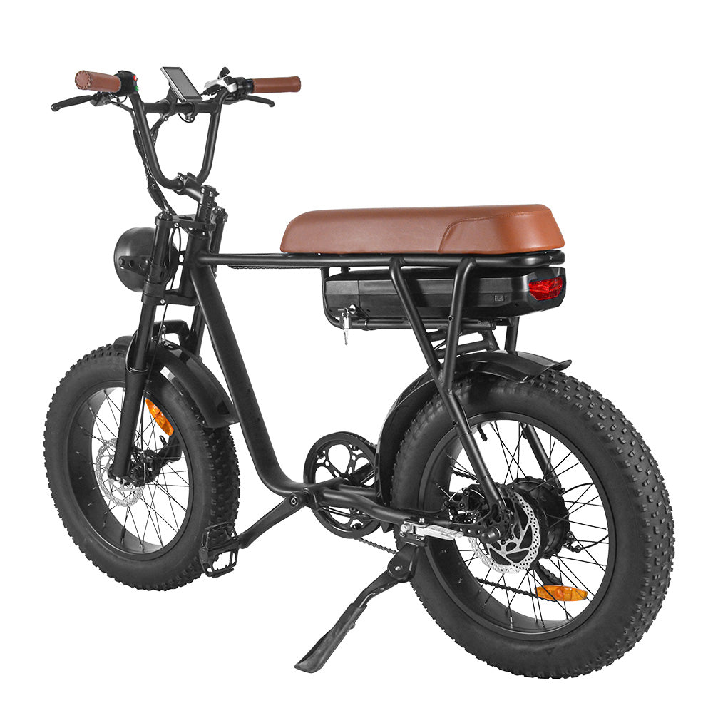 SAIBAIKE FXH006 750W Bicicletta Elettrica da Montagna con Pneumatici Grassi