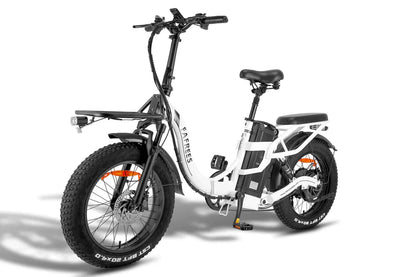 FAFREES F20 X Max Bicicletta Elettrica 750W