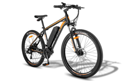 FAFREES F28 MT 250W Bicicletta Elettrica da Montagna