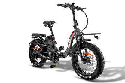 FAFREES F20 X Max Bicicletta Elettrica 750W