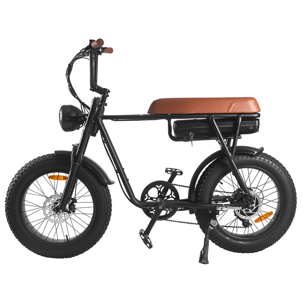 SAIBAIKE FXH006 750W Bicicletta Elettrica da Montagna con Pneumatici Grassi