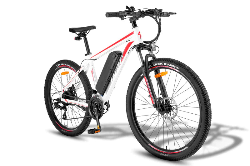 FAFREES F28 MT 250W Bicicletta Elettrica da Montagna
