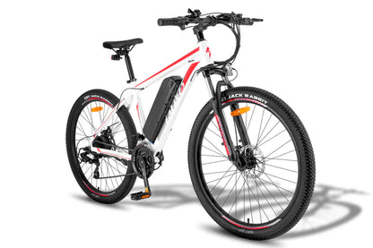 FAFREES F28 MT 250W Bicicletta Elettrica da Montagna