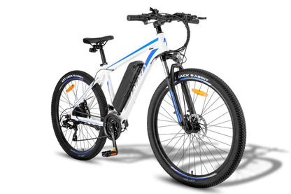 FAFREES F28 MT 250W Bicicletta Elettrica da Montagna