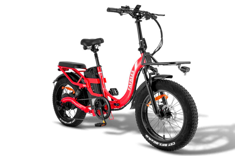 FAFREES F20 X Max Bicicletta Elettrica 750W
