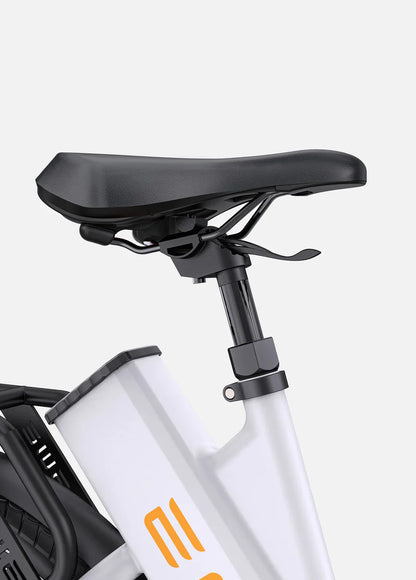 ENGWE P275 ST 250W 260km Motore Centrale Bicicletta Elettrica da Commuting