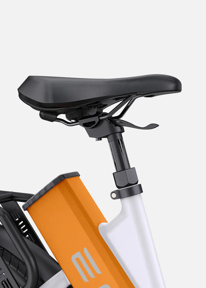 ENGWE P275 ST 250W 260km Motore Centrale Bicicletta Elettrica da Commuting
