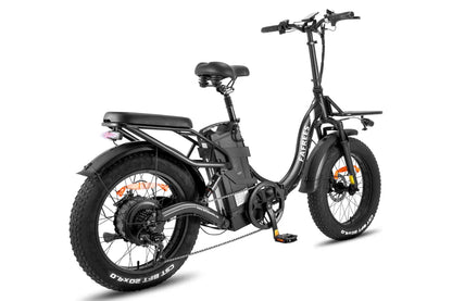 FAFREES F20 X Max Bicicletta Elettrica 750W