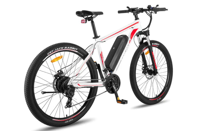 FAFREES F28 MT 250W Bicicletta Elettrica da Montagna