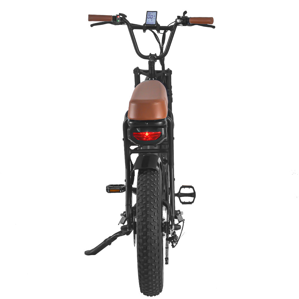 SAIBAIKE FXH006 750W Bicicletta Elettrica da Montagna con Pneumatici Grassi