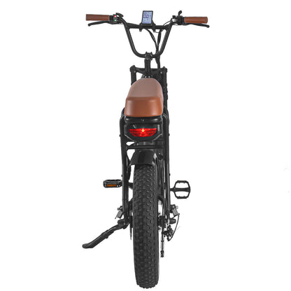 SAIBAIKE FXH006 750W Bicicletta Elettrica da Montagna con Pneumatici Grassi