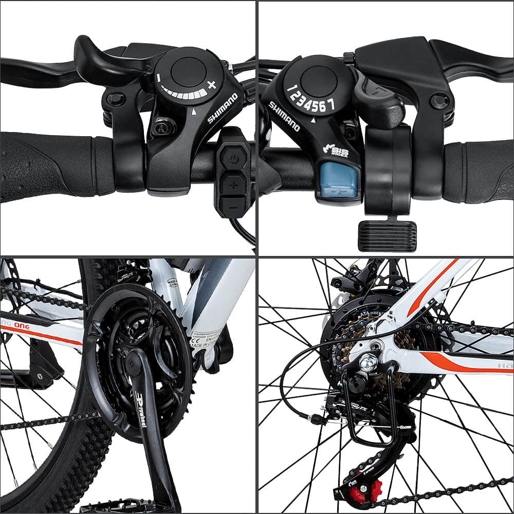 FAFREES 26 Hailong One 250W Bicicletta Elettrica da Montagna