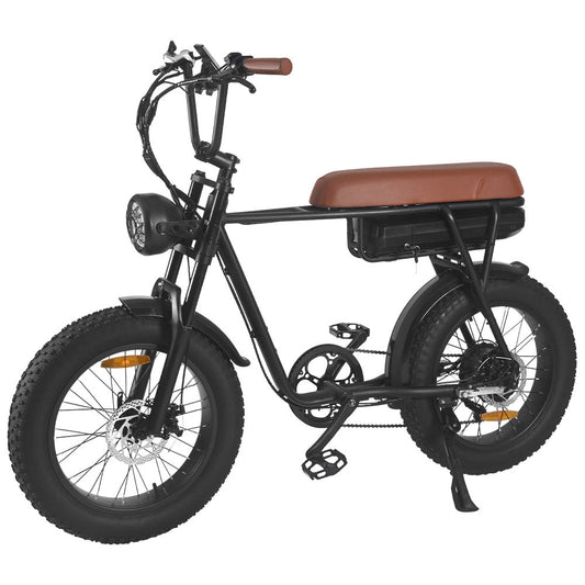 SAIBAIKE FXH006 750W Bicicletta Elettrica da Montagna con Pneumatici Grassi