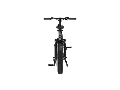 5th WHEEL Thunder 1FT 250W bicicletta elettrica pieghevole